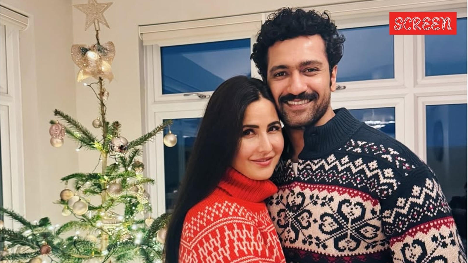 Vicky Kaushal 1747363718