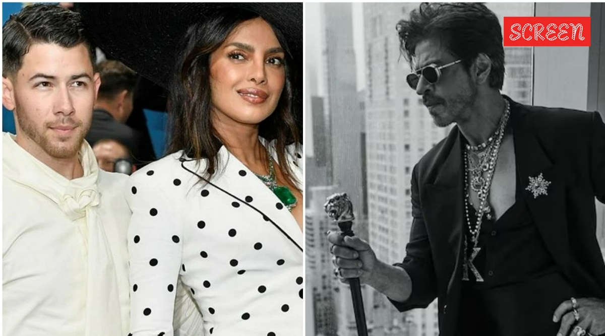 priyanka chopra priyanka chopra 1746872737