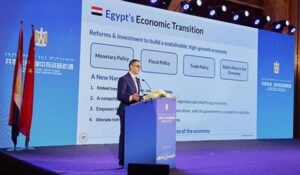 يحث وزير الاستثمار شركات البتروكيماويات على تعزيز الشراكات مع مصر –