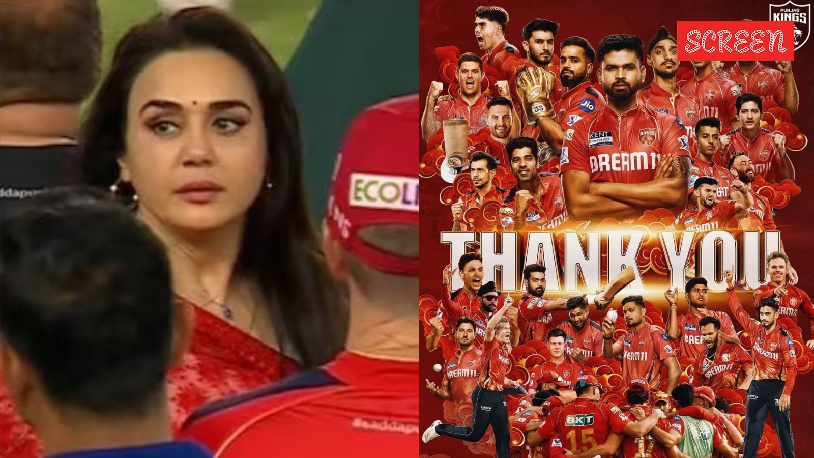 Preity Zinta 1749218313