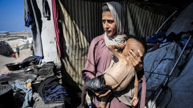 الفلسطينيون يتضورون جوعًا أو يقتلهم القوات الإسرائيلية بينما يبحثون عن المساعدة يوميًا تقريبًا. كيف وصلنا إلى هنا؟ –
