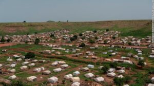 تؤكد FM دعم مصر للانتقال السلمي لجنوب السودان إلى الاستقرار –