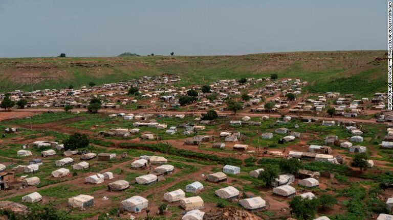 تؤكد FM دعم مصر للانتقال السلمي لجنوب السودان إلى الاستقرار –