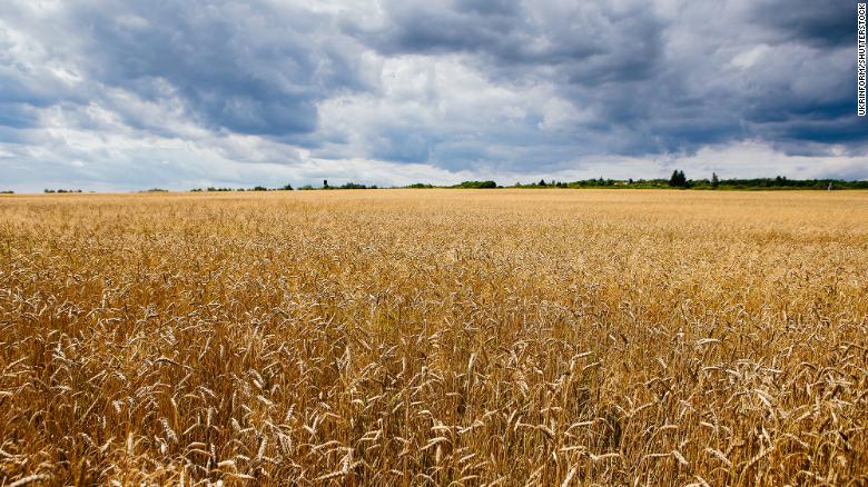 220301114638 ukraine wheat field 2020 file restricted exlarge 169