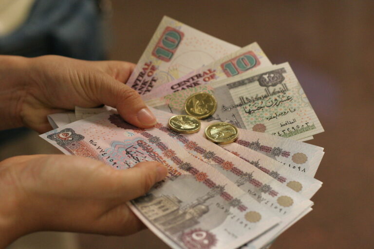 تدعو مصر المواطنين إلى الاستثمار في إحياءها الاقتصادي. ماذا يعني ذلك؟ –