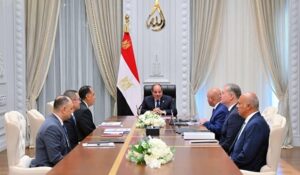 يؤكد الرئيس السيسي دور الصناعات البتروكيماوية لزيادة الموارد –