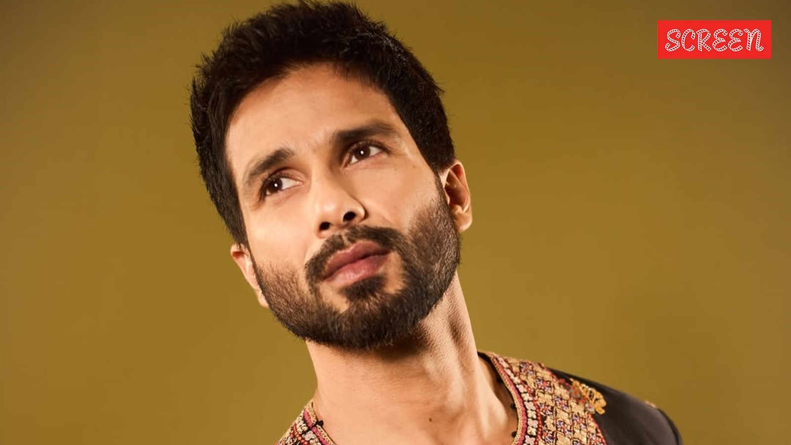 shahid kapoor 1753284047