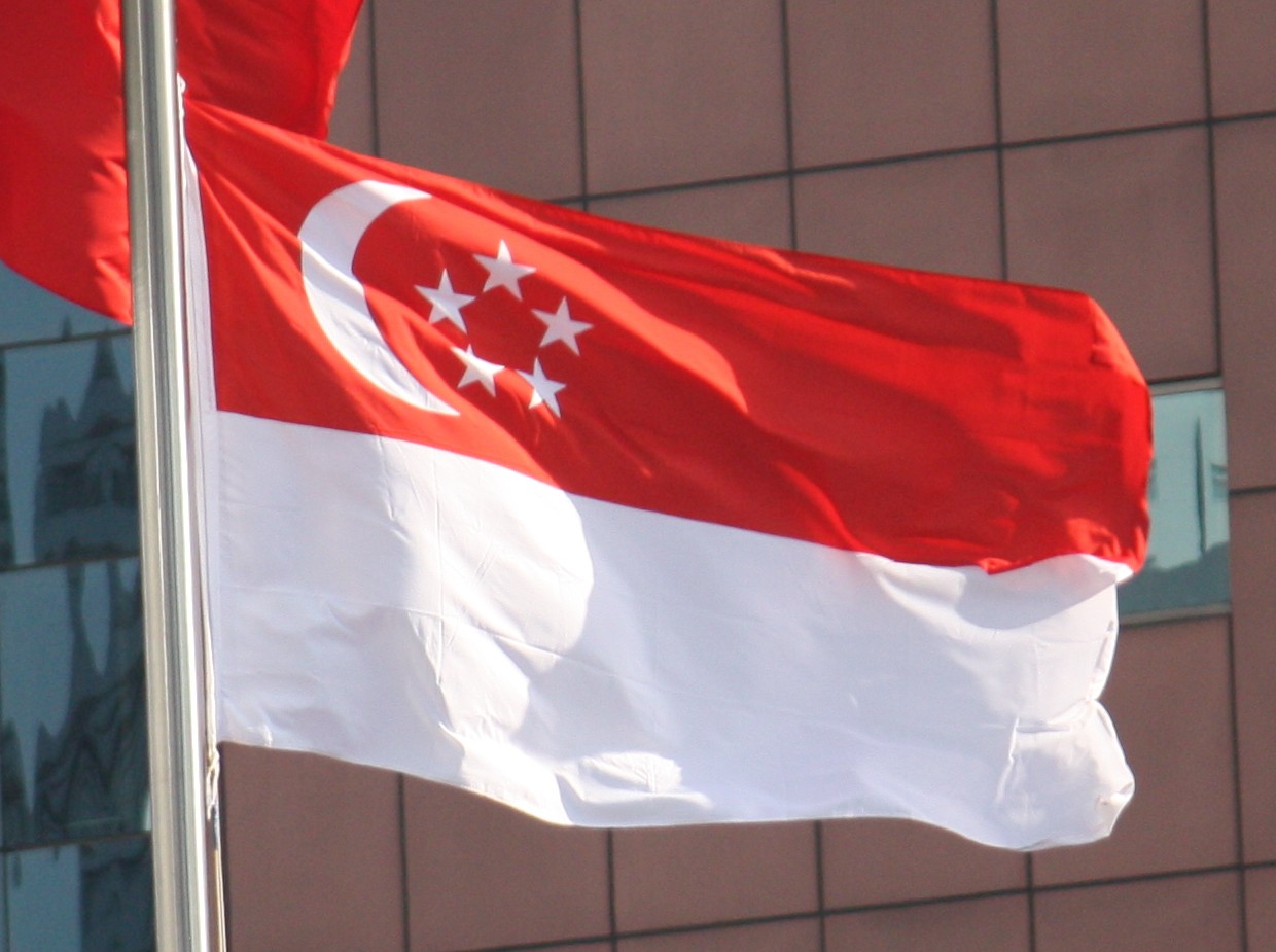 2012 Flag of Singapore Photo
