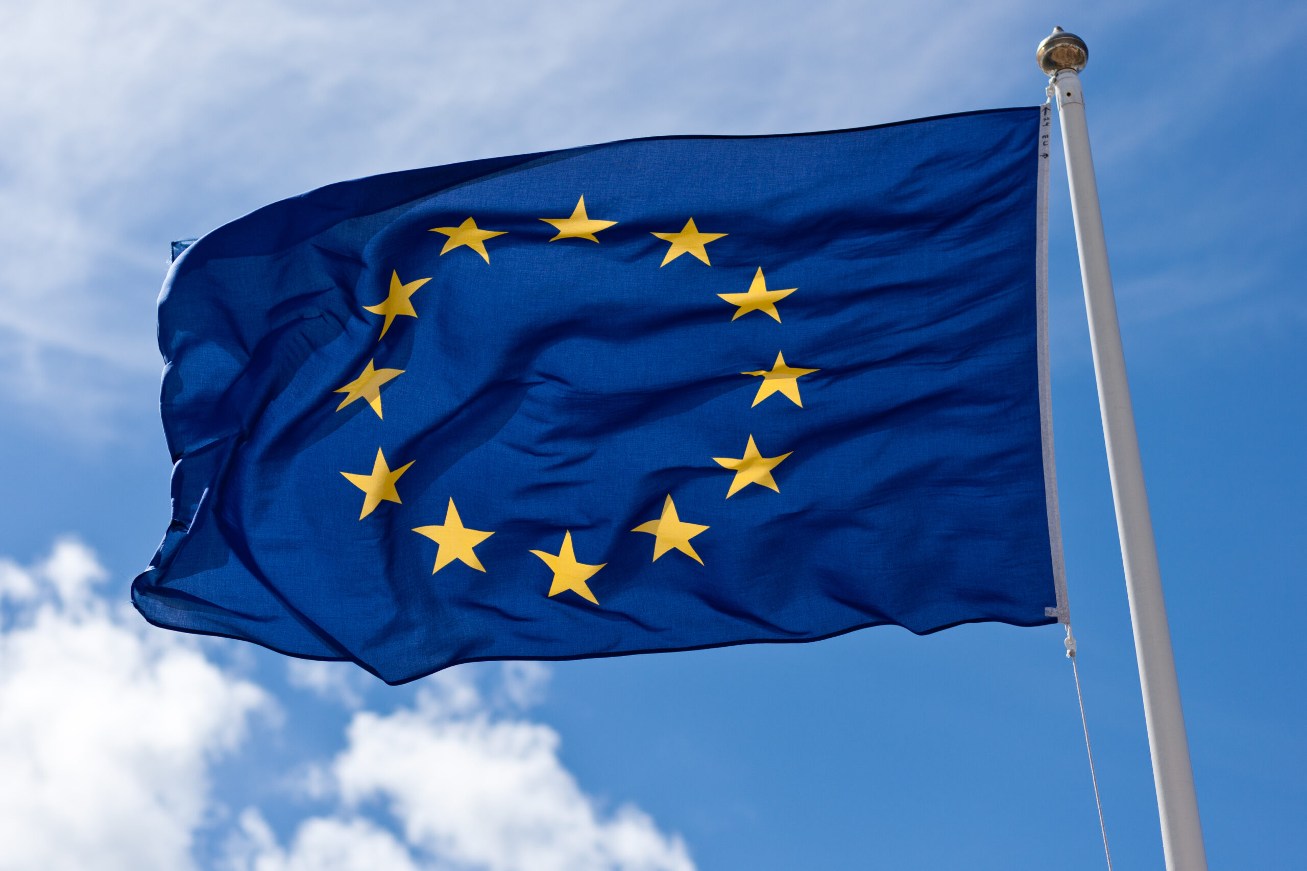 European Union Flag 4768764591 scaled 1