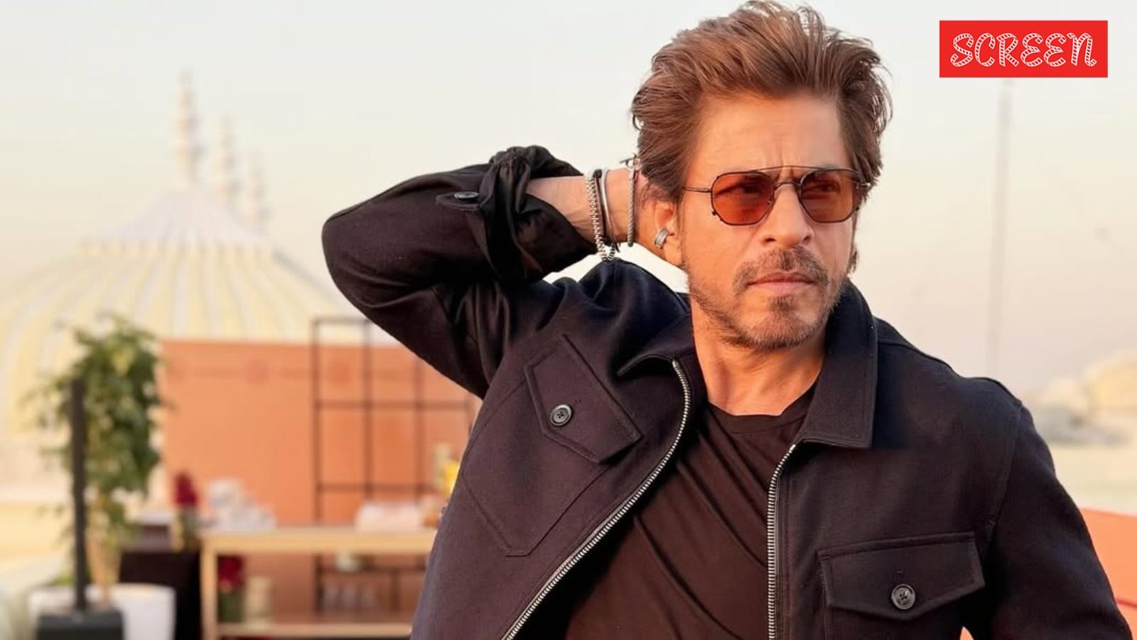 Shah Rukh Khan 3 1755354048