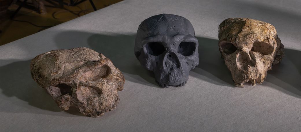 A new reconstruction center of the crushed Yunxian 2 skull right found in China is seen with another squashed skull left uncovered at the same site. Guanghui Zhao