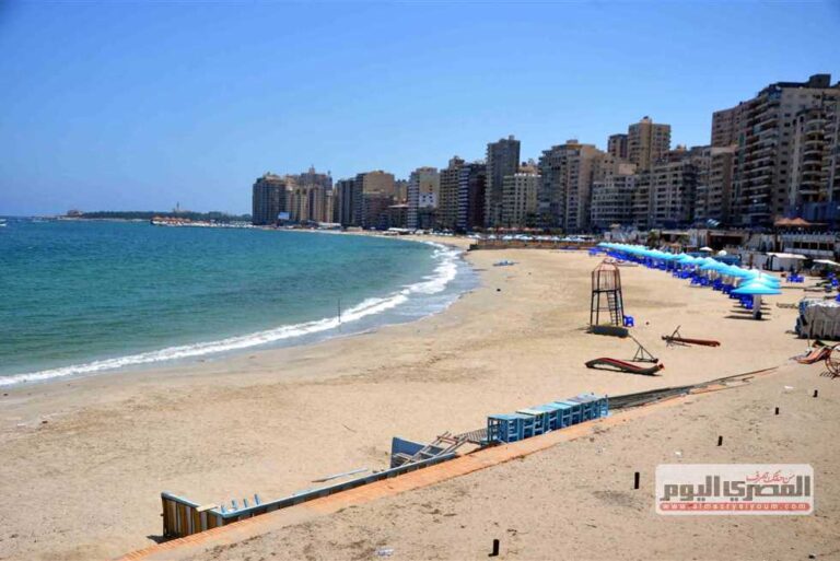 تم العثور على التماسيح على شاطئ الإسكندرية –