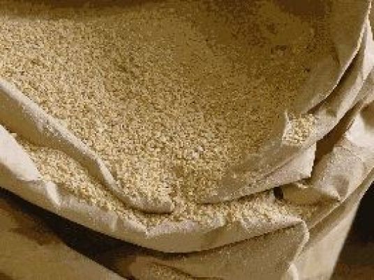 soybag1