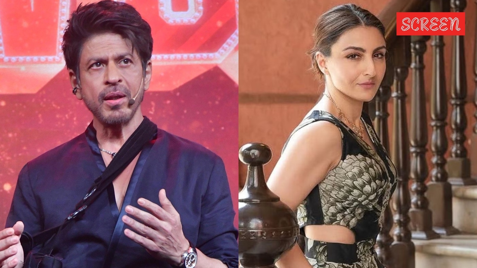 srk soha 1 1758035224