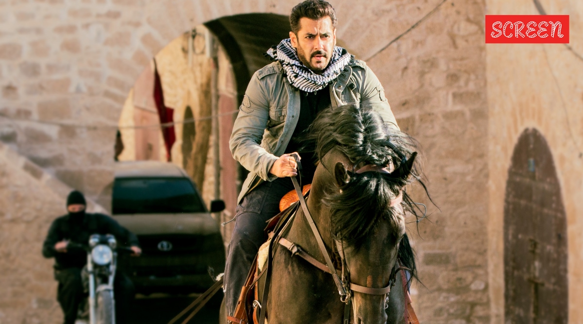 salman khan horse 1759820256