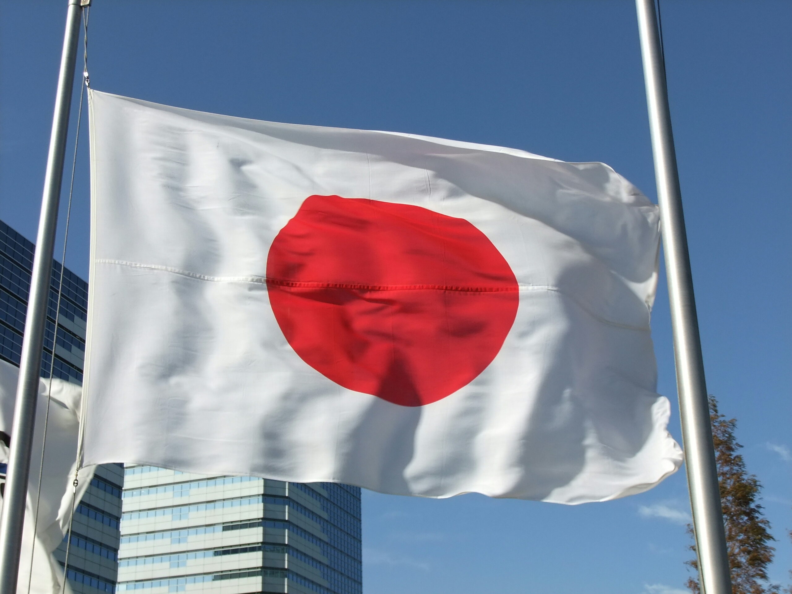 Flag of Japan scaled 1