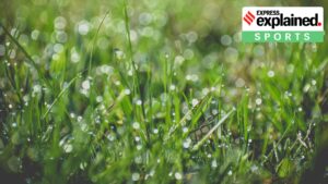 بينما يسجل فيرات كوهلي أطنانًا متتالية، لماذا يتصدر الندى عناوين الأخبار؟