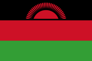 وزير الخارجية: مصر حريصة على تعزيز التعاون مع الحكومة الجديدة في مالاوي –