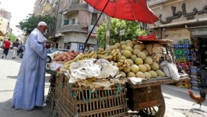 وزير الزراعة: 2025 شهد نجاحات ملموسة على مستوى الأمن الغذائي –