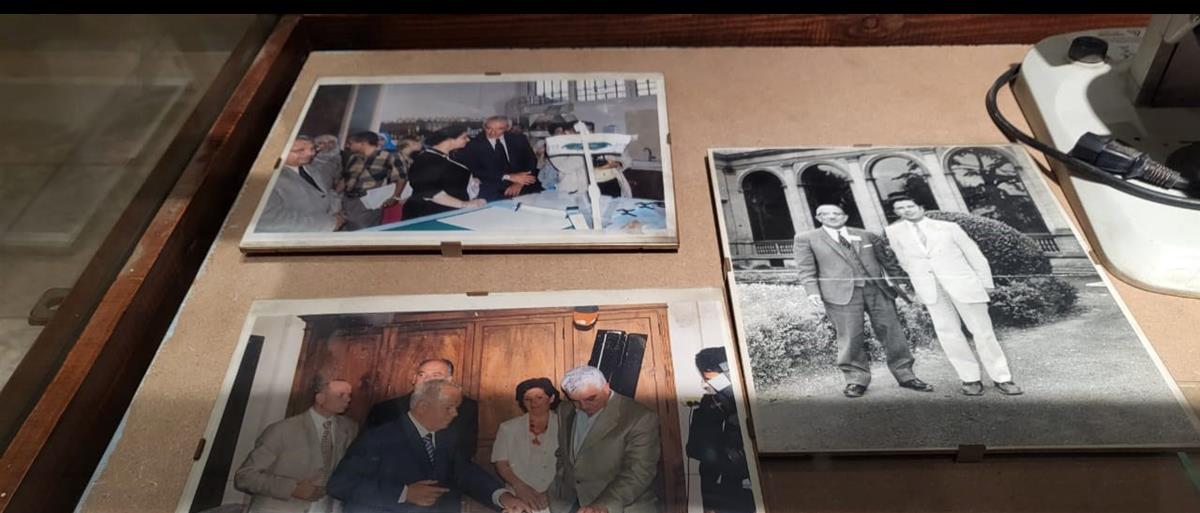 81b86519 f1d1 45a5 96e5 be3228c11b84 photo 2026 02 17 20 16 43 photograph