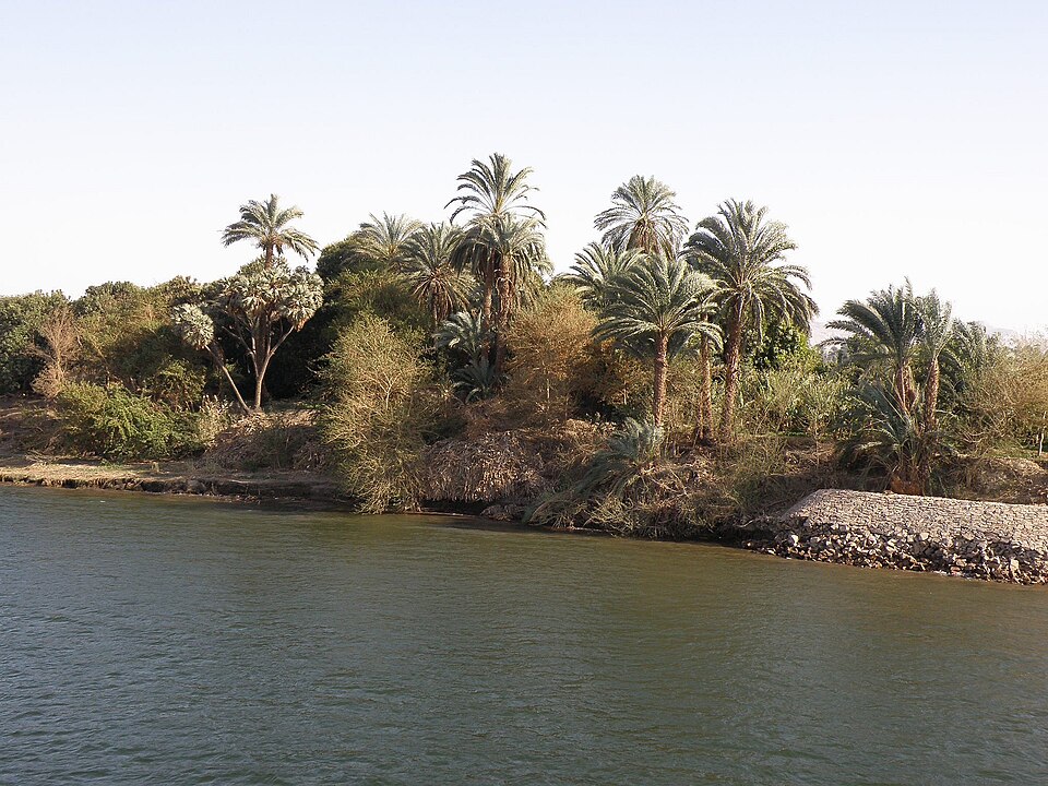Upper Egypt Nile nature