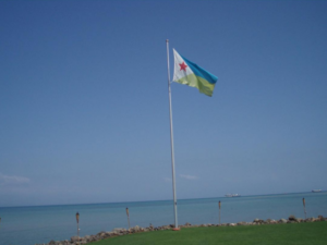 وزيرا خارجية مصر وجيبوتي يبحثان العلاقات الثنائية والتطورات الإقليمية –