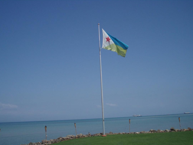 وزيرا خارجية مصر وجيبوتي يبحثان العلاقات الثنائية والتطورات الإقليمية –